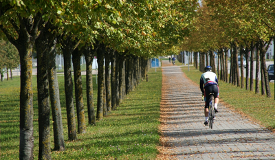 Guide complet du cycliste pour le rangement de son vélo [2 étapes].